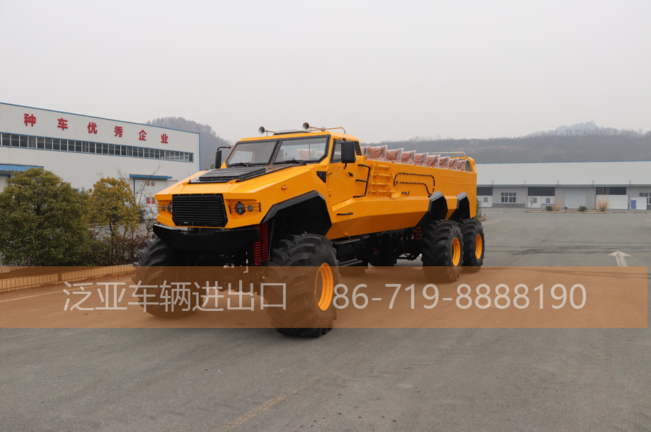 六驱沙漠冲浪车，旅游观光车可定制   （118万）