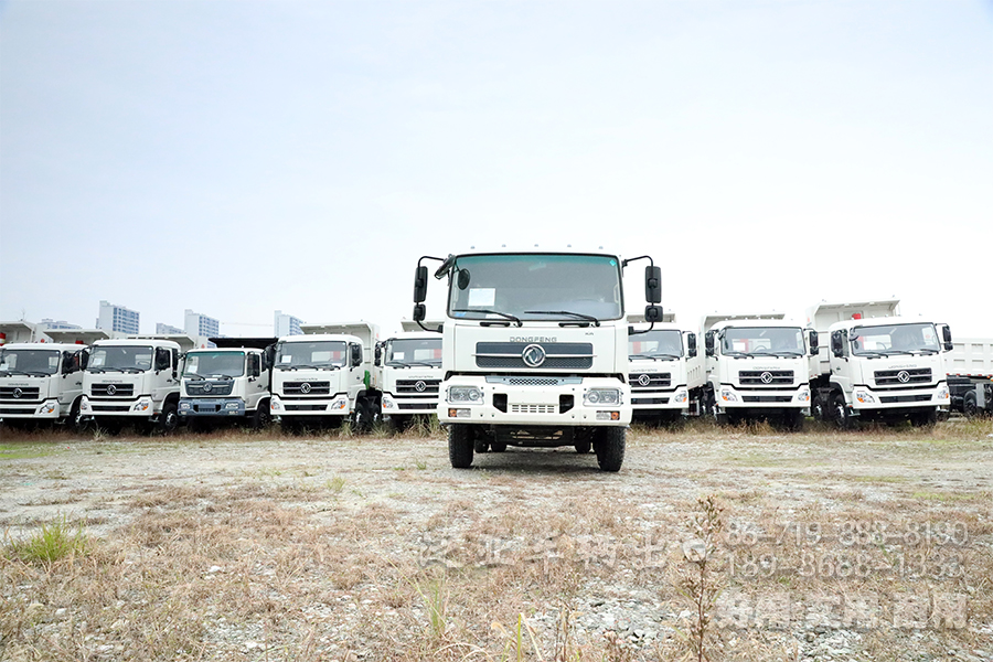 东风4*2卡车,天锦自卸车,东风天锦报价,载重5吨自卸车,160马力自卸车,DFL3120B