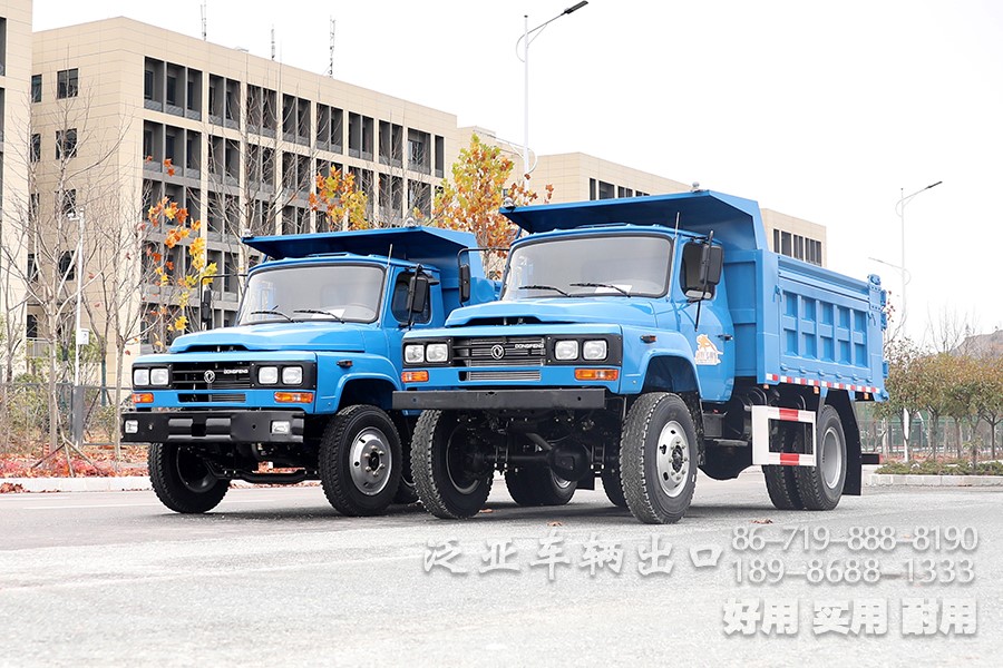 <strong>来看看两款自卸车的对比展示</strong>